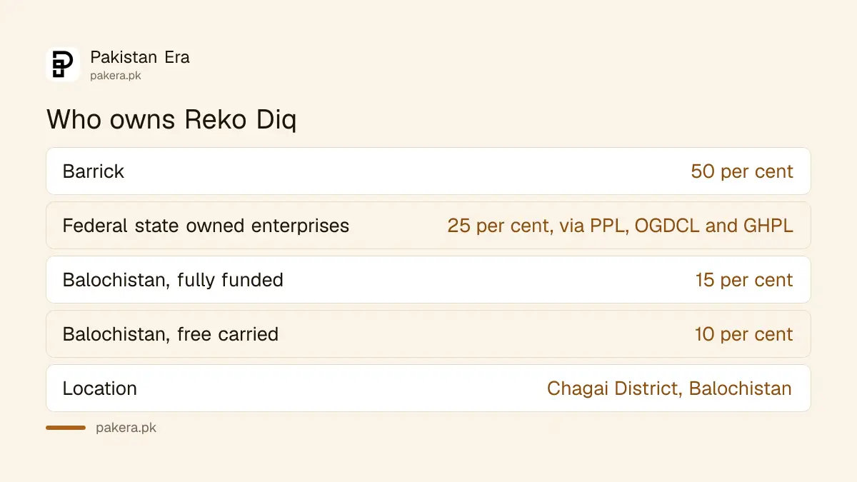 Who owns the Reko Diq project and in what shares