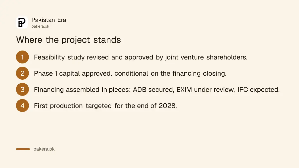 Where the Reko Diq project currently stands