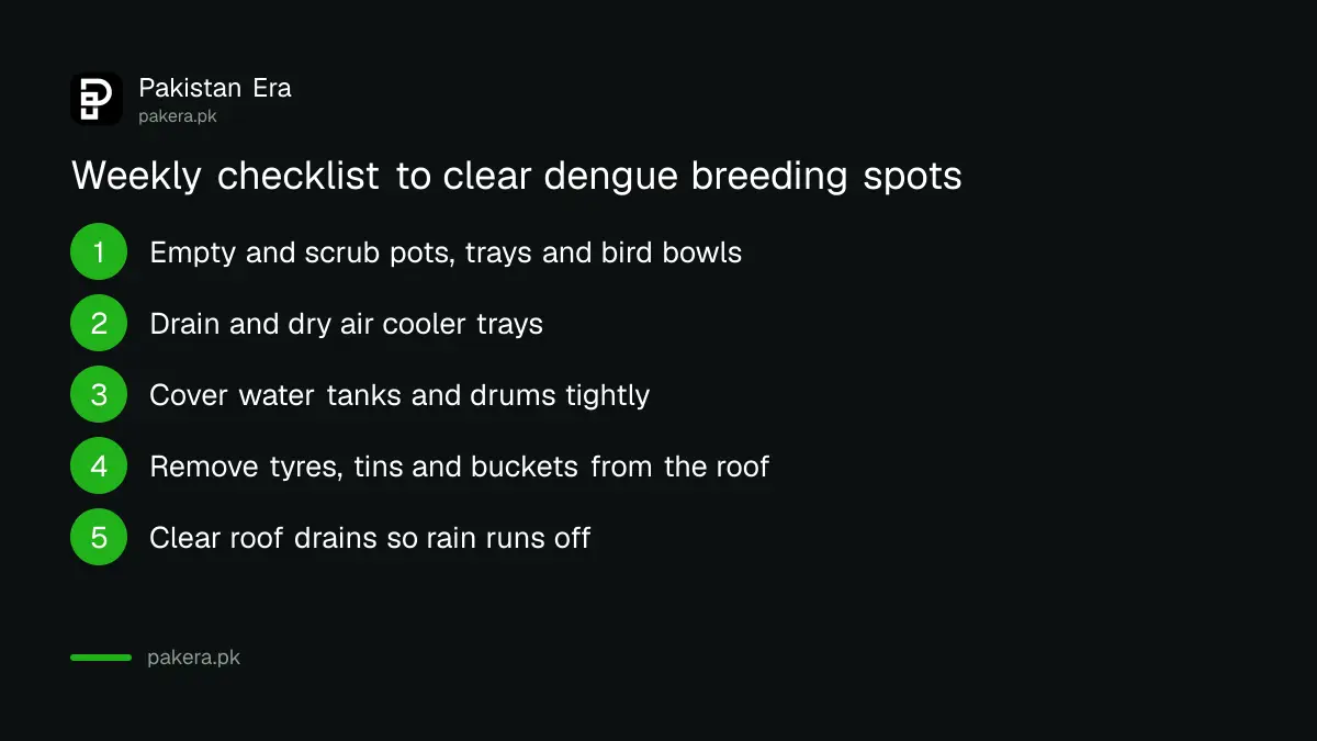 Weekly checklist to clear dengue breeding spots at home in Punjab