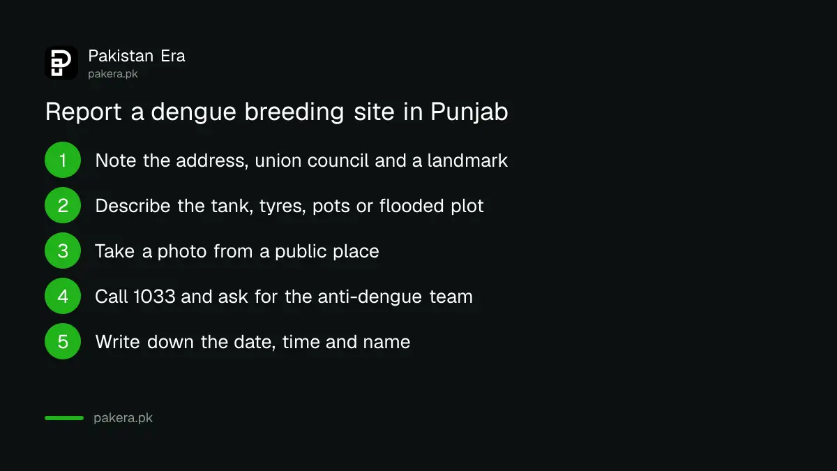 Five steps to report dengue larvae or standing water in Punjab
