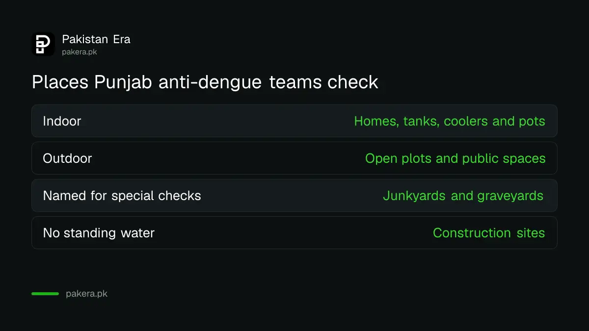 What Punjab anti-dengue teams check during surveillance