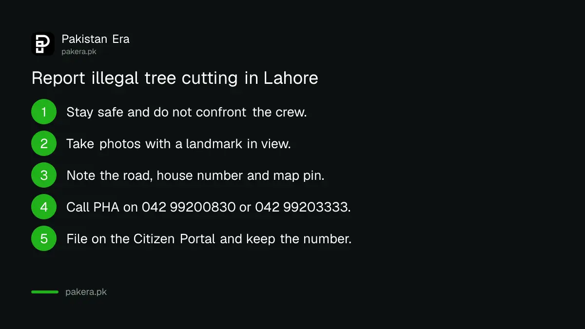 Five steps to report illegal tree cutting in Lahore