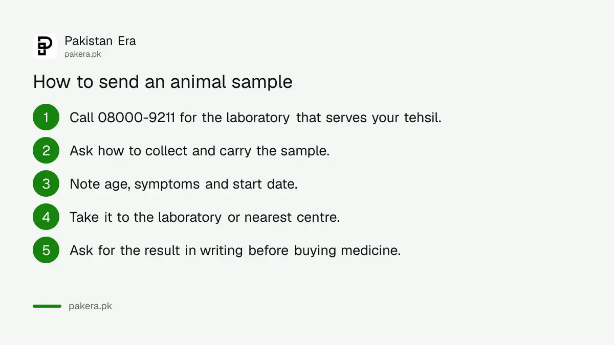 Steps to send an animal sample to a Punjab diagnostic laboratory
