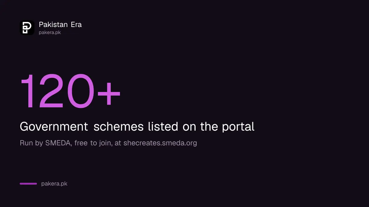 SheCreates portal lists more than 120 government schemes for women entrepreneurs in Pakistan
