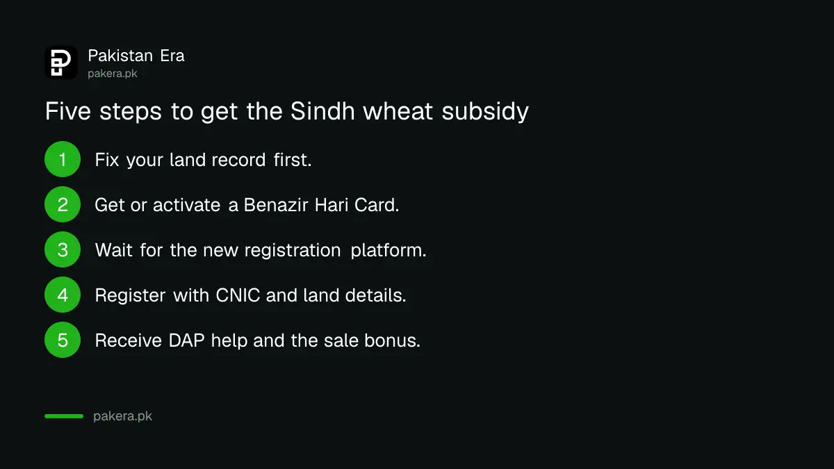 Five steps for Sindh wheat growers to get the 2026 subsidy