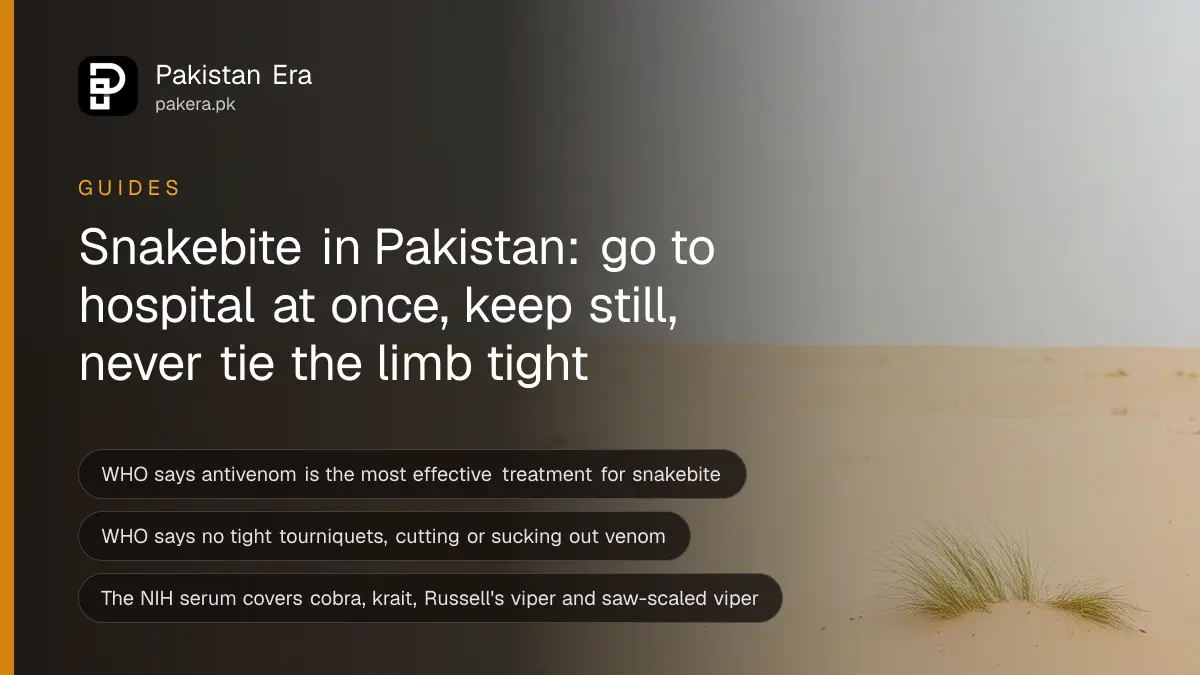 Dry sandy ground with sparse grass under a pale sky, for a guide to snakebite first aid in Pakistan