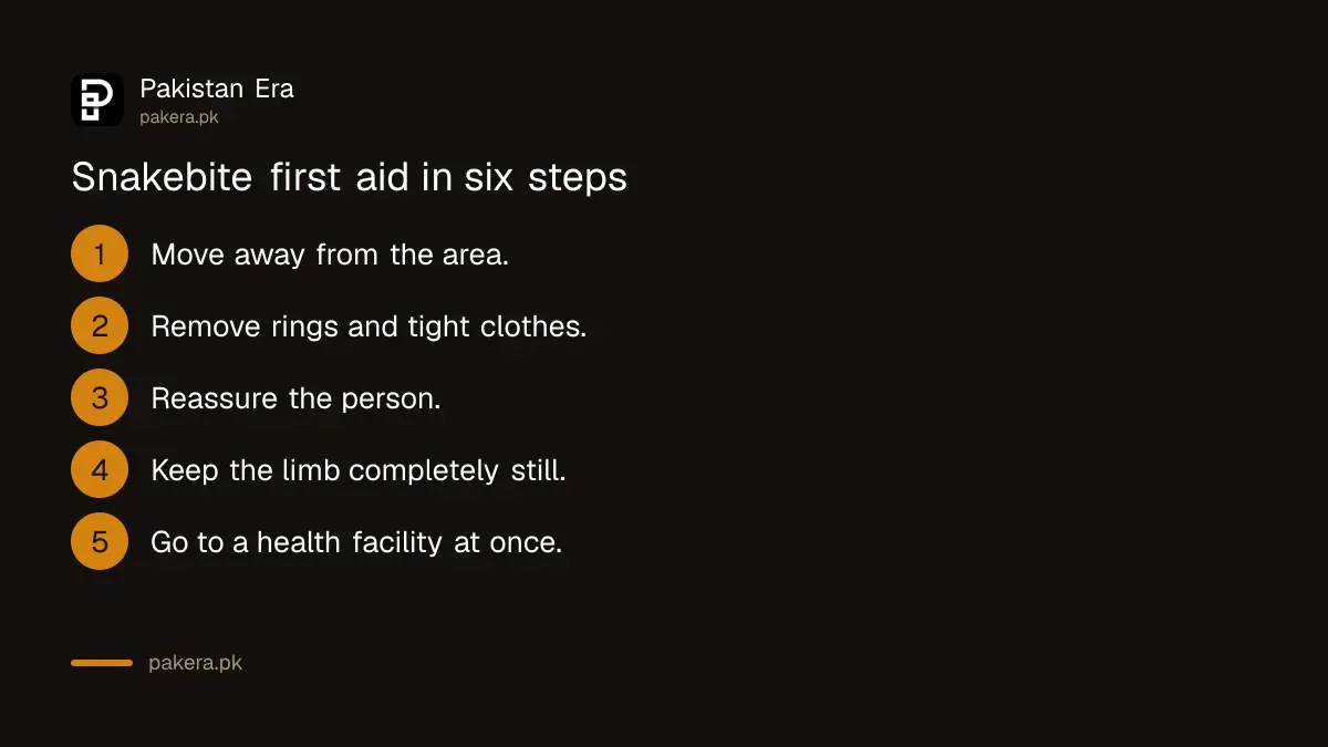 Six first aid steps after a snakebite according to WHO guidance