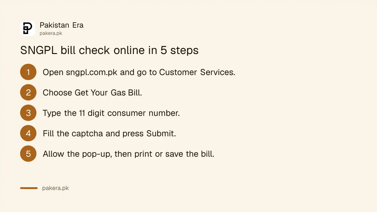 Steps to check an SNGPL gas bill online in Pakistan