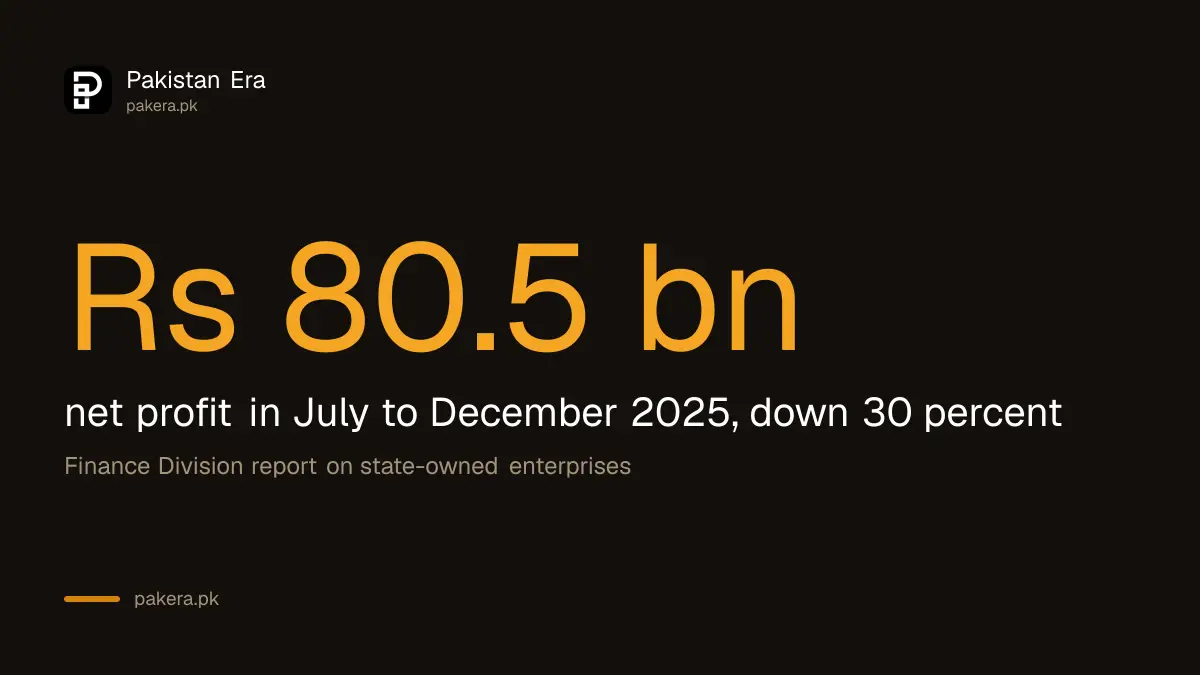 Net profit of Pakistan state-owned companies fell 30 percent to Rs 80.5 billion in July to December 2025