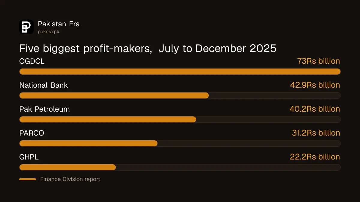 Five largest profit-making Pakistan state companies in July to December 2025