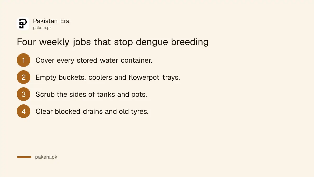 Four weekly home jobs that stop dengue mosquito breeding