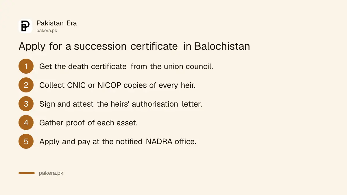 Steps to apply for a succession certificate at NADRA in Balochistan