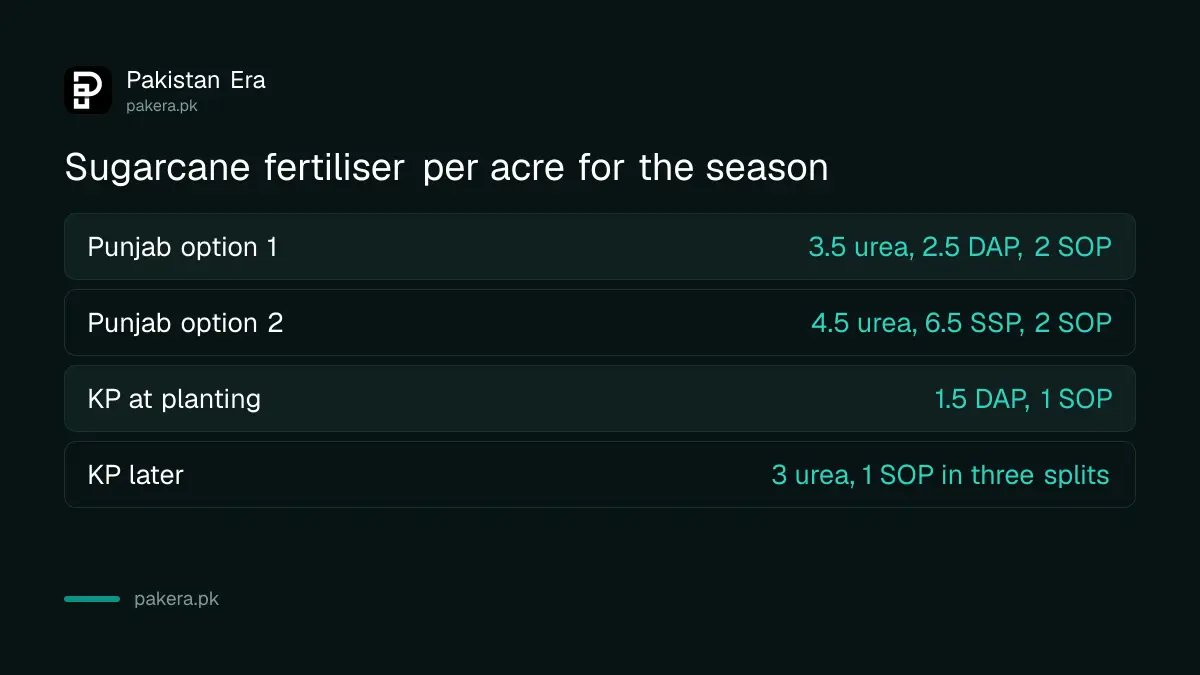 Fertiliser per acre for September sugarcane in Punjab and autumn sugarcane in Khyber Pakhtunkhwa