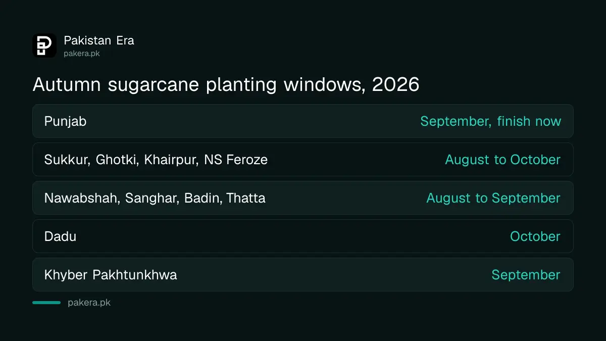Autumn sugarcane planting windows in Punjab, Sindh and Khyber Pakhtunkhwa in 2026