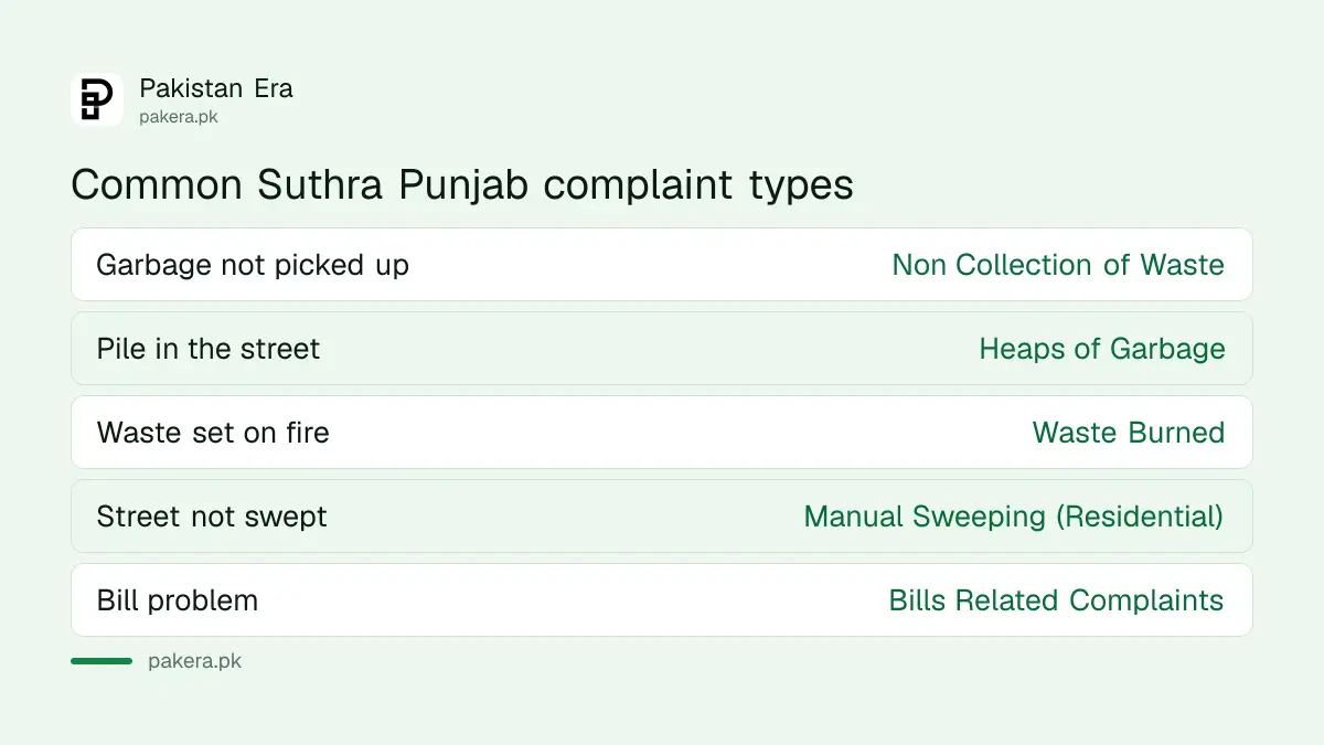 Common Suthra Punjab complaint types residents can choose on the official form