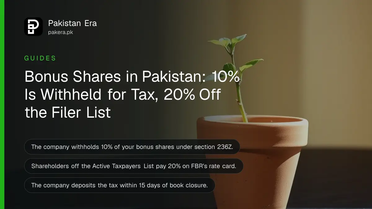A terracotta pot with a small green sapling on a dark wooden table against a plain cream wall in soft daylight
