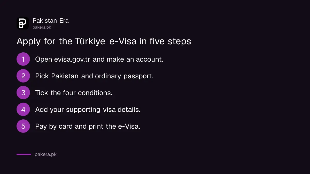 Steps to apply for the Türkiye e-Visa from Pakistan on evisa.gov.tr