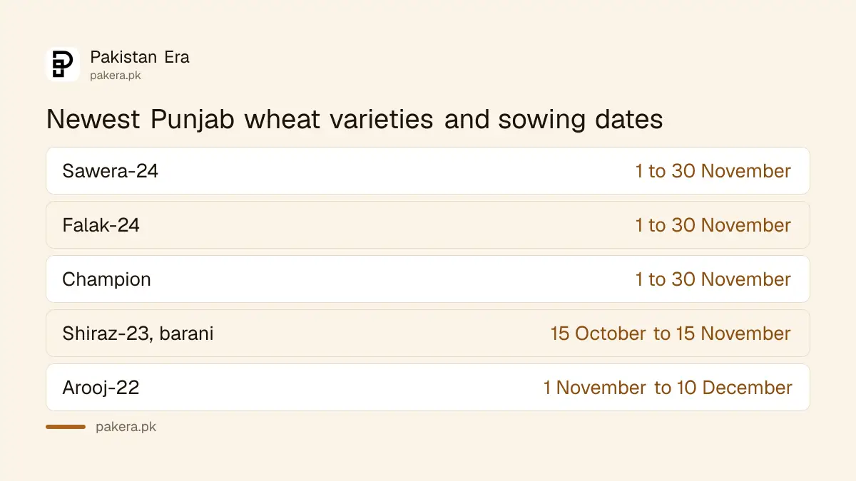 New Punjab wheat varieties Sawera-24, Falak-24 and Champion with their sowing windows