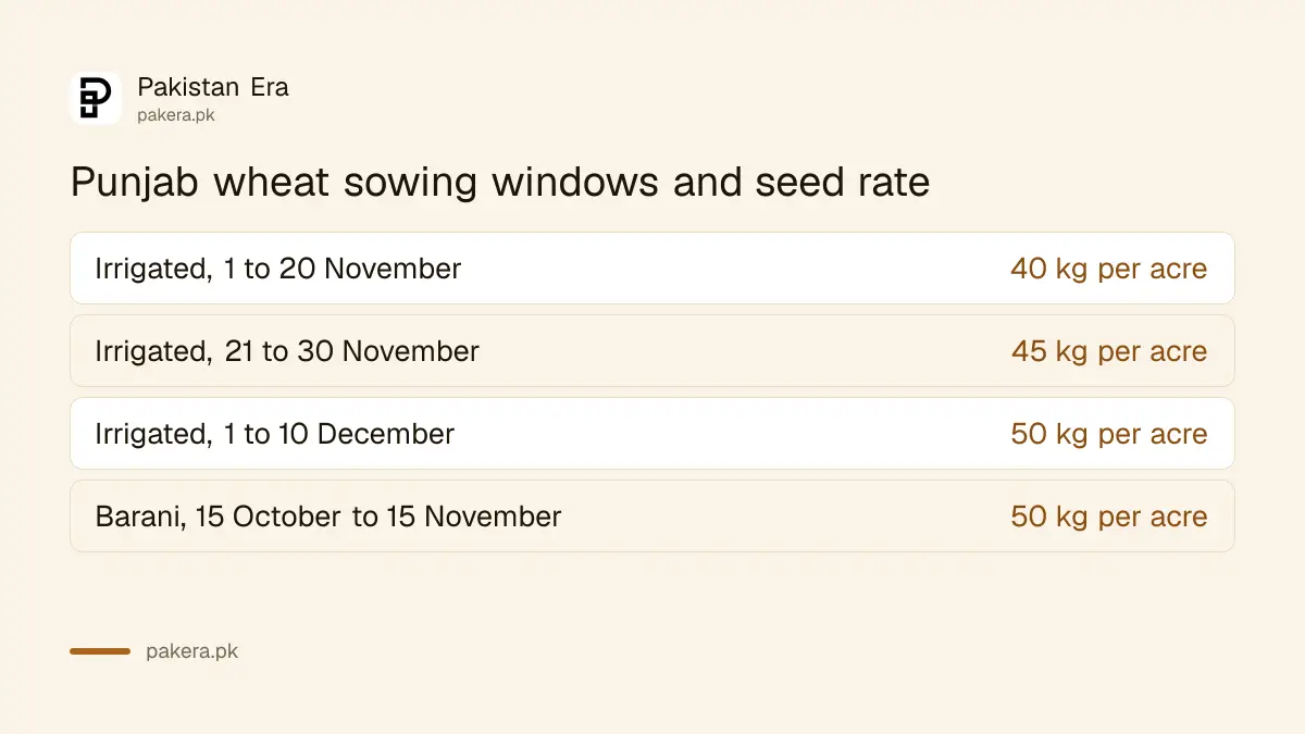 Punjab wheat sowing windows: irrigated 1 to 20 November, barani 15 October to 15 November