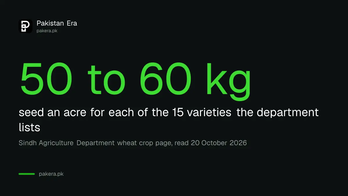 Sindh wheat seed rate of 50 to 60 kg an acre from the Sindh Agriculture Department