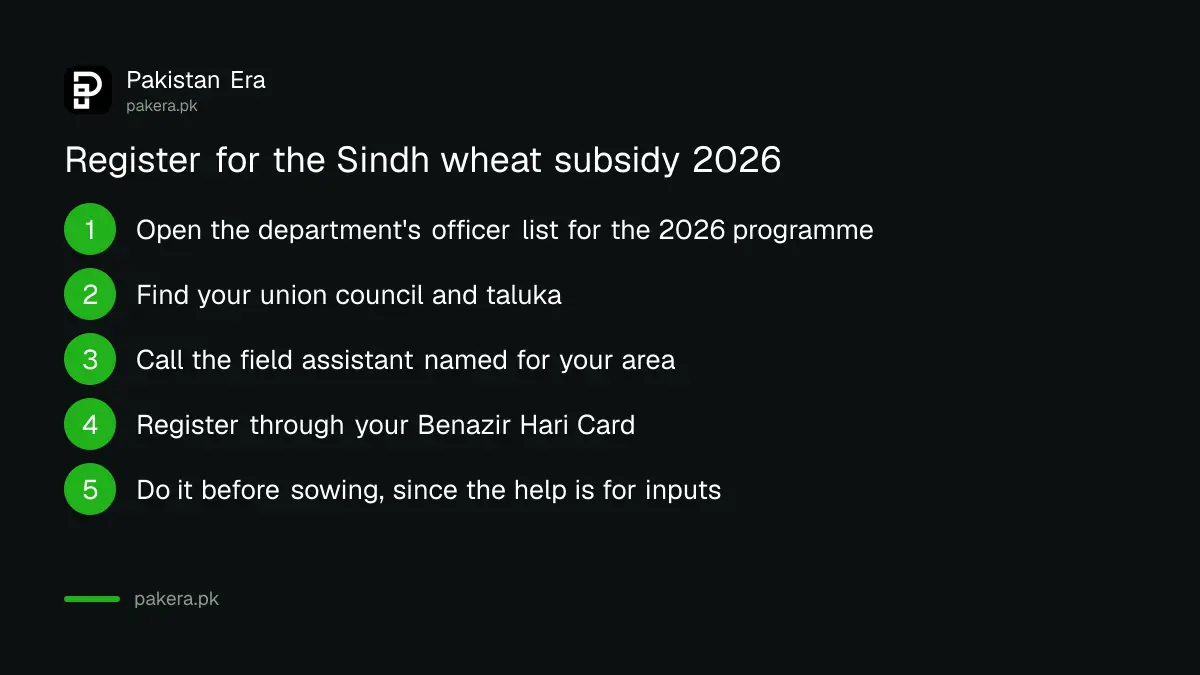 Steps to register for the Sindh Wheat Growers Support Program 2026 through a field assistant