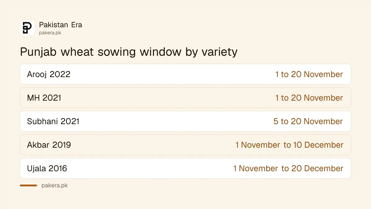Punjab wheat sowing window by variety, 1 November to 20 November for newer varieties