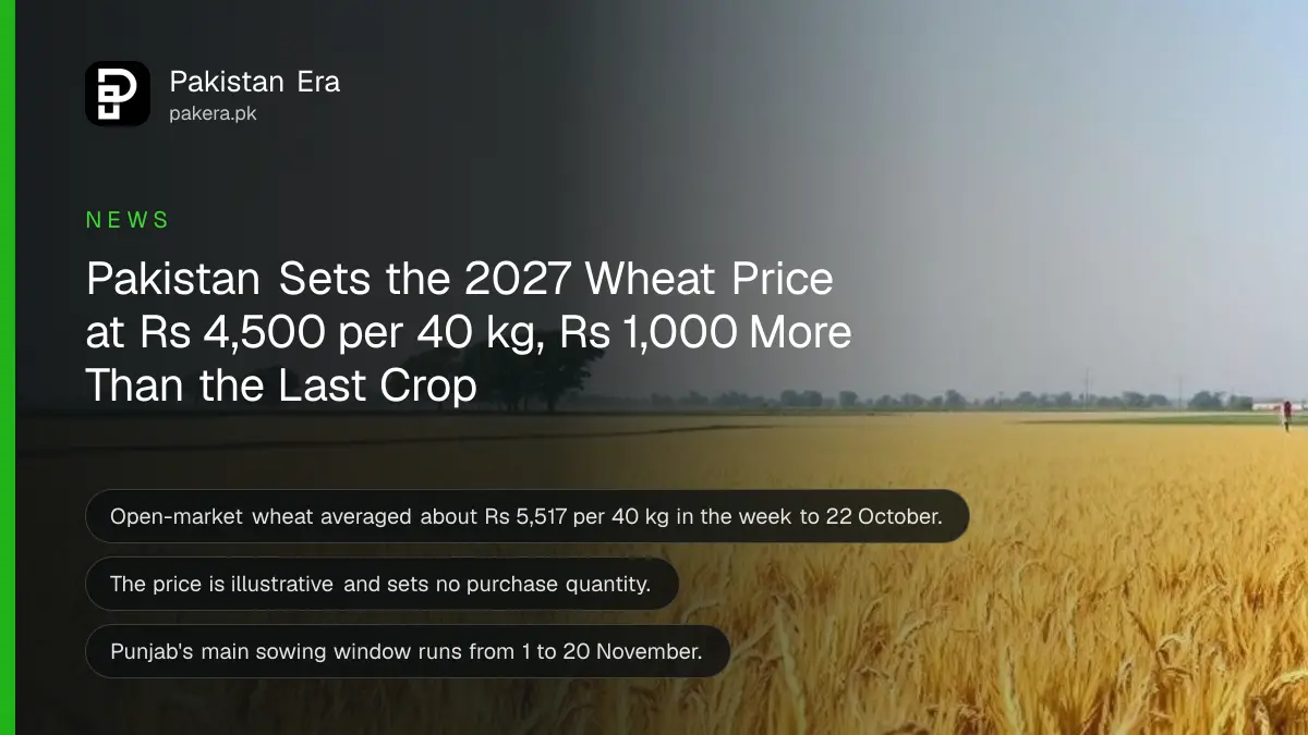 A wide golden wheat field under a clear blue sky in rural Punjab, for the 2027 wheat price in Pakistan
