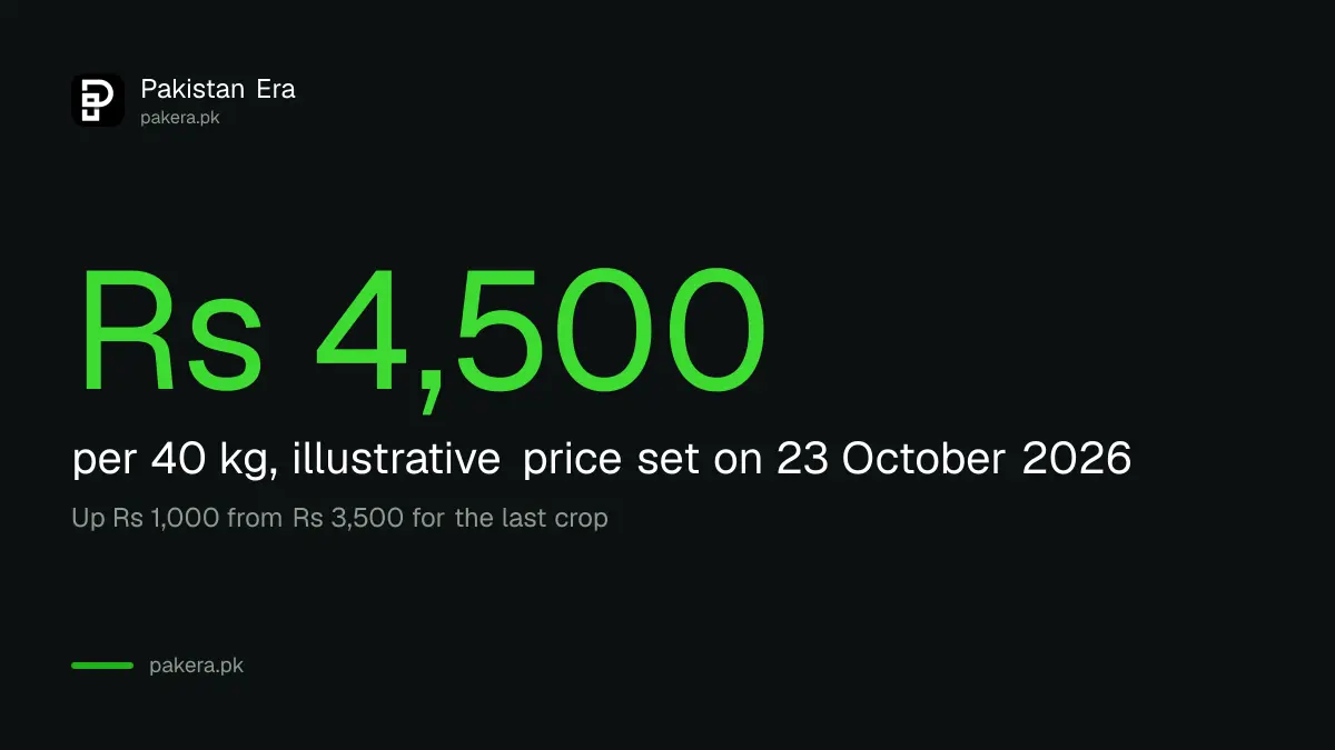 Wheat illustrative price for 2027 in Pakistan is Rs 4,500 per 40 kg, up Rs 1,000 from Rs 3,500