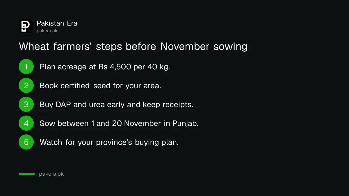 Five steps for wheat farmers in Pakistan before the November 2026 sowing window