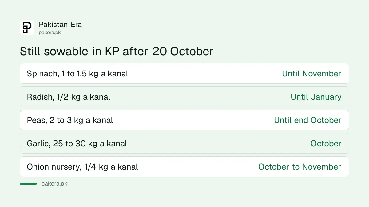 Winter vegetables that can still be sown in Khyber Pakhtunkhwa after 20 October 2026