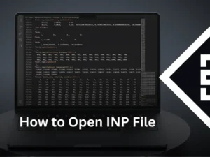 How to Open INP File