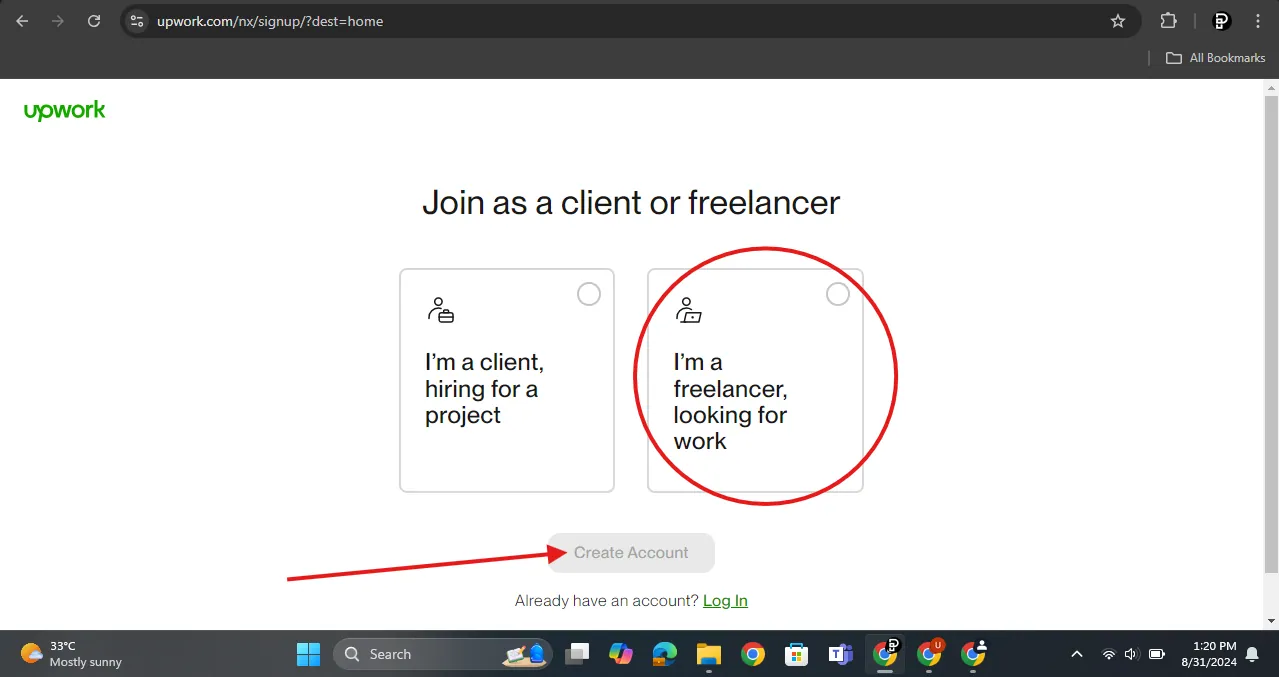 Im a freelancer, looking for work