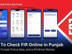 how to check FIR online in Punjab