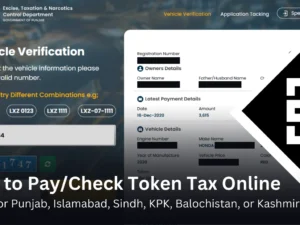 How to Pay Token Tax Online, Vehicle Verification Process