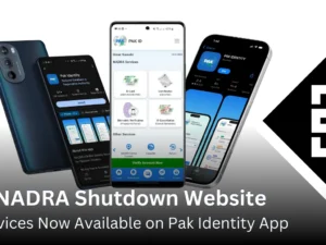 NADRA Shutdown Website Services Now Available on Pak Identity App