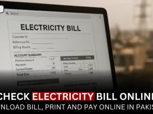 How to Check Electricity Bill online