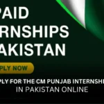 How to Apply for the CM Punjab Internship Program