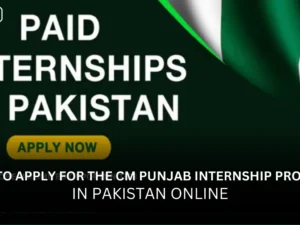 How to Apply for the CM Punjab Internship Program