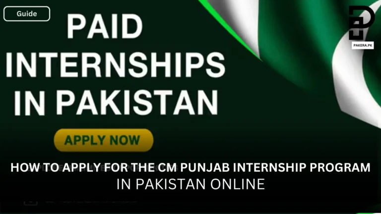 How to Apply for the CM Punjab Internship Program