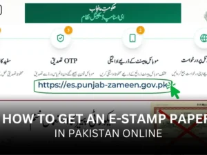 How to Get an E-Stamp Paper in Pakistan Online
