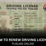 How to renew Driving License Punjab Online