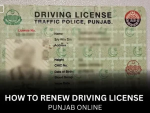 How to renew Driving License Punjab Online