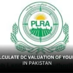 How to Calculate DC Valuation of Your Property in Pakistan