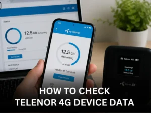 How to Check Telenor 4G Device Data Easily
