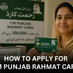 How to Apply for CM Punjab Rahmat Card and Get up to 100,000 PKR